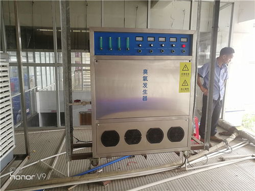 養殖場污水處理器價格 河北養殖場污水處理器 藍奧專業臭氧生產