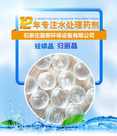 臺州鍋爐歸麗晶價格 公司動態 石家莊盈都環?？萍? />
</span>
<span id=